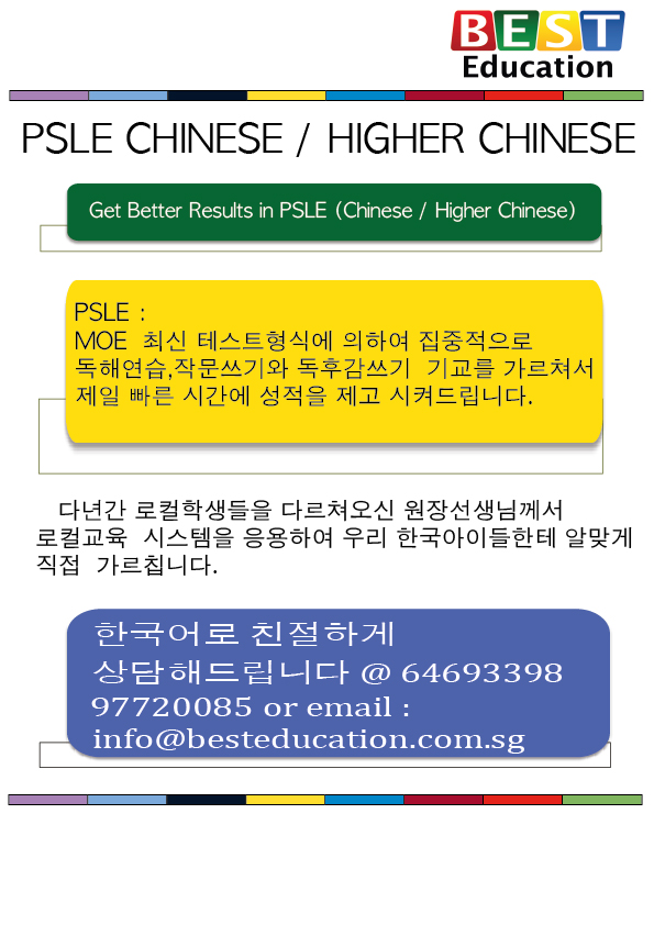 Best_Education___PSLE_Class_120620131.jpg