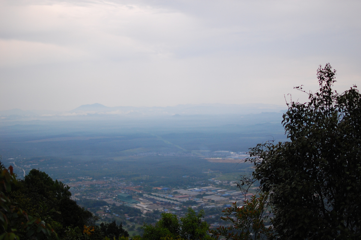 DSC_22523.jpg
