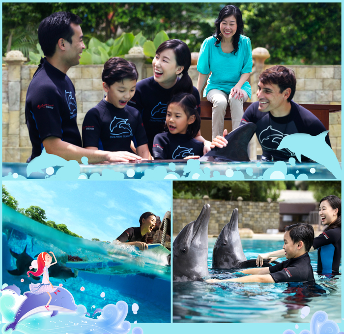 dolphin_12.jpg