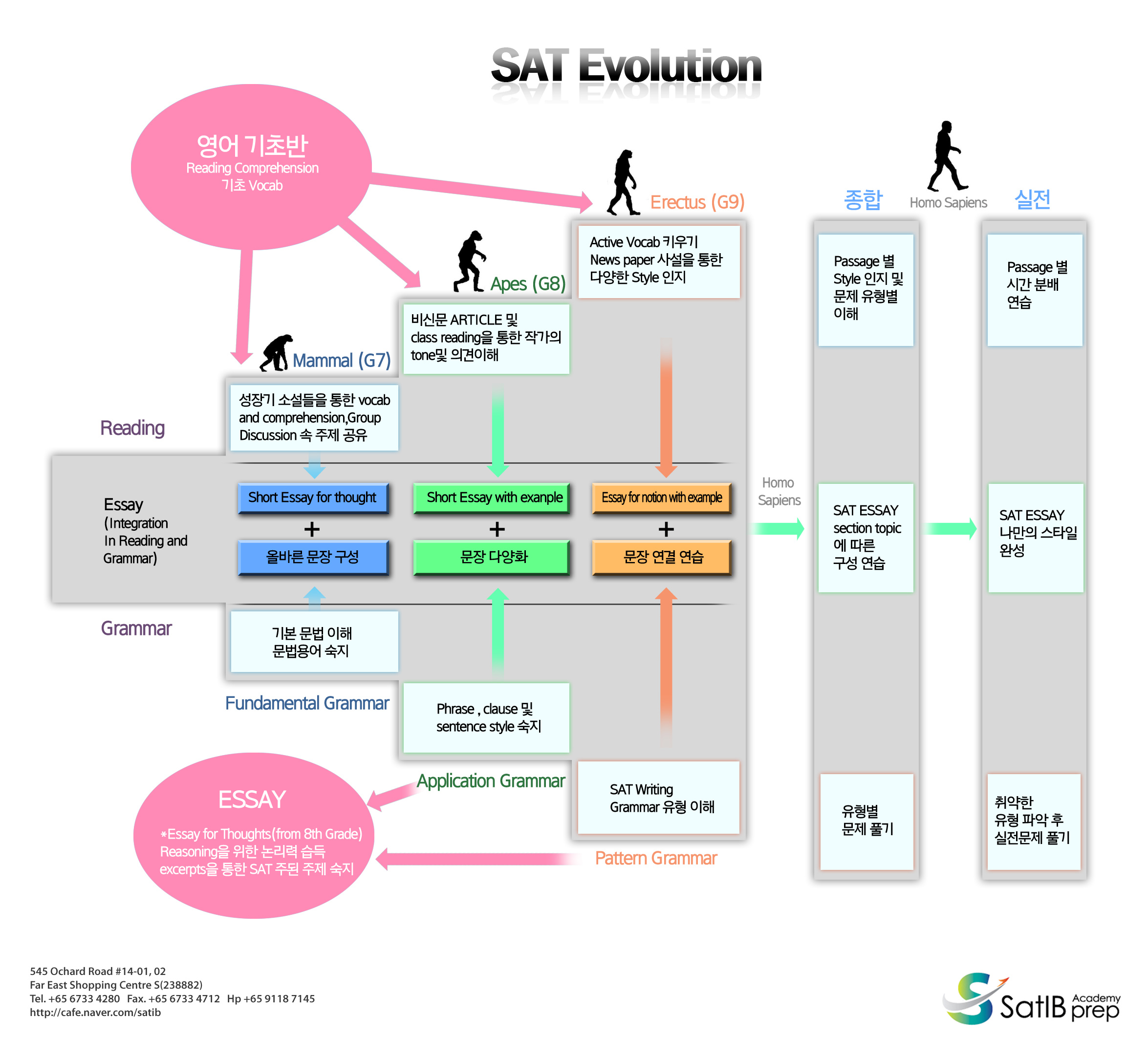 sat_evolutoin_copy9.jpg