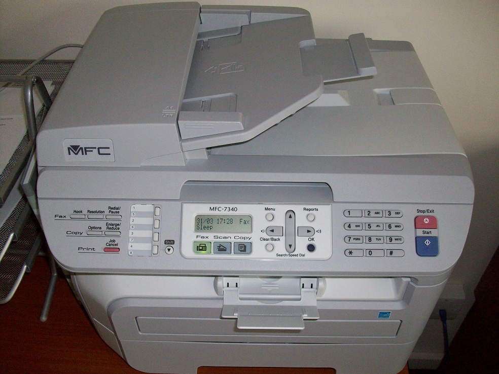 100_19911.JPG