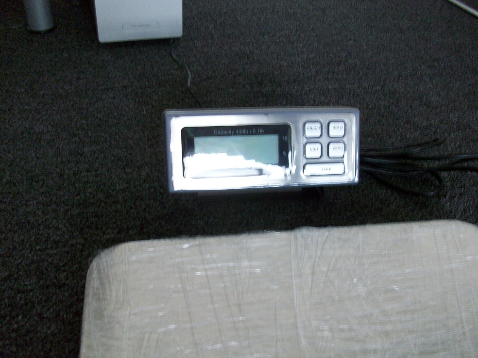 100_20051.JPG