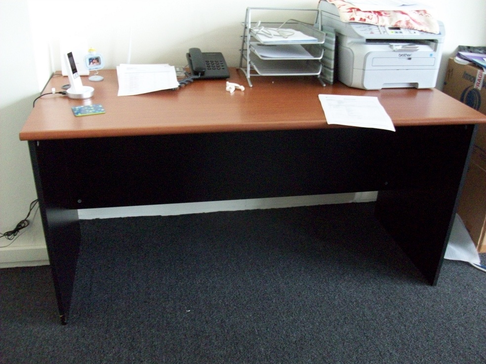 100_20101.JPG