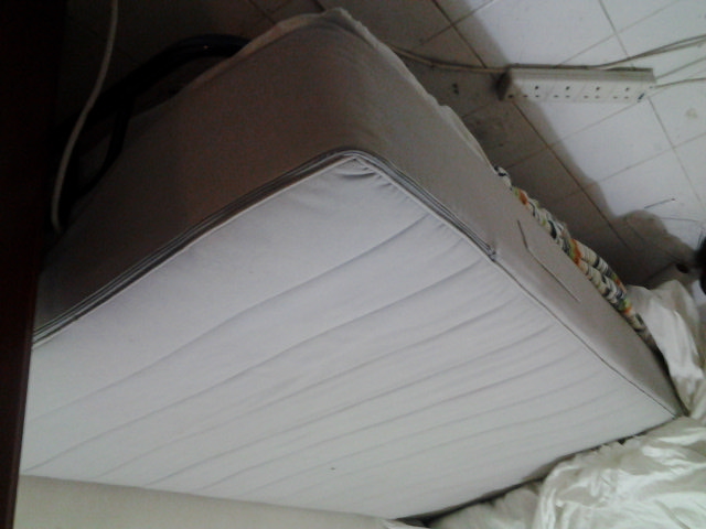 20120406_2234341.jpg