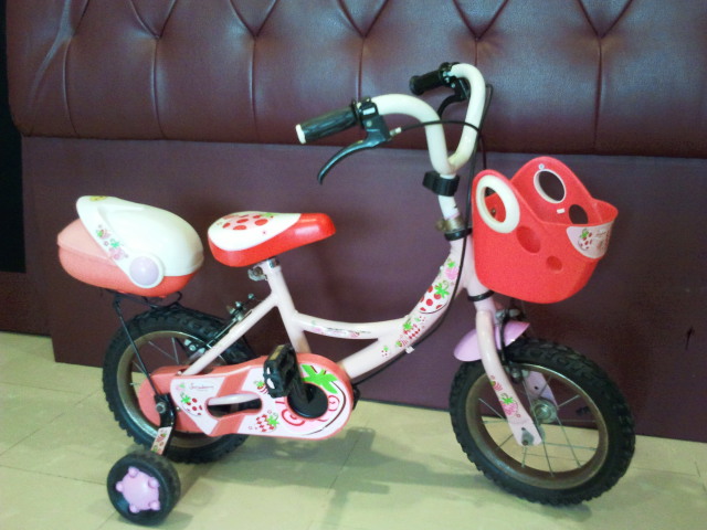 2012_01_17_1115.jpg