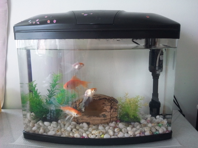 2012_01_17_118.jpg
