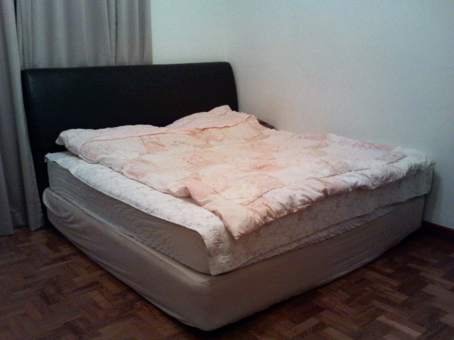 2012_01_27_231.jpg