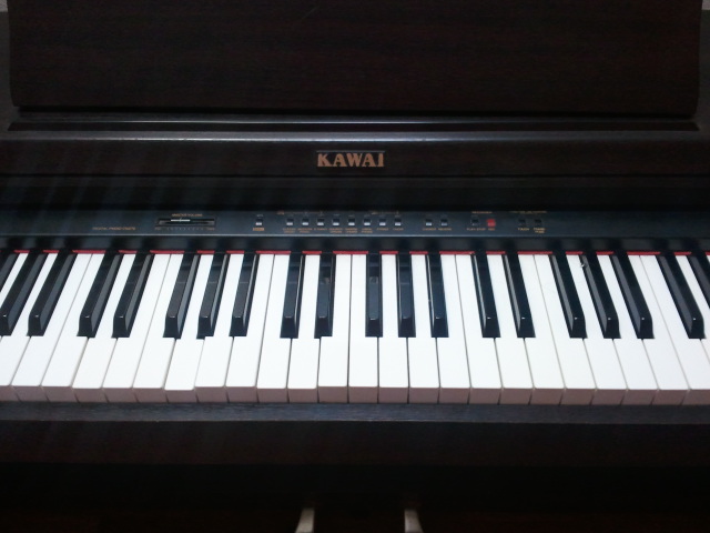 2012_02_14_212.jpg