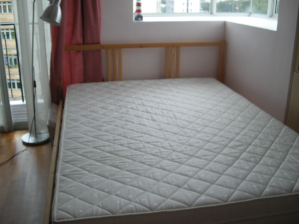 DSCN78152.JPG