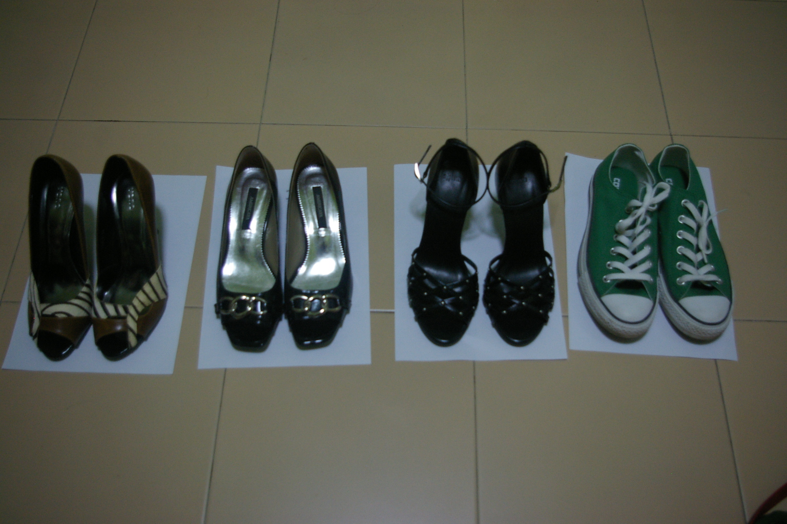 IMGP9926_11.JPG