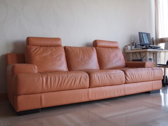 P41774431.JPG