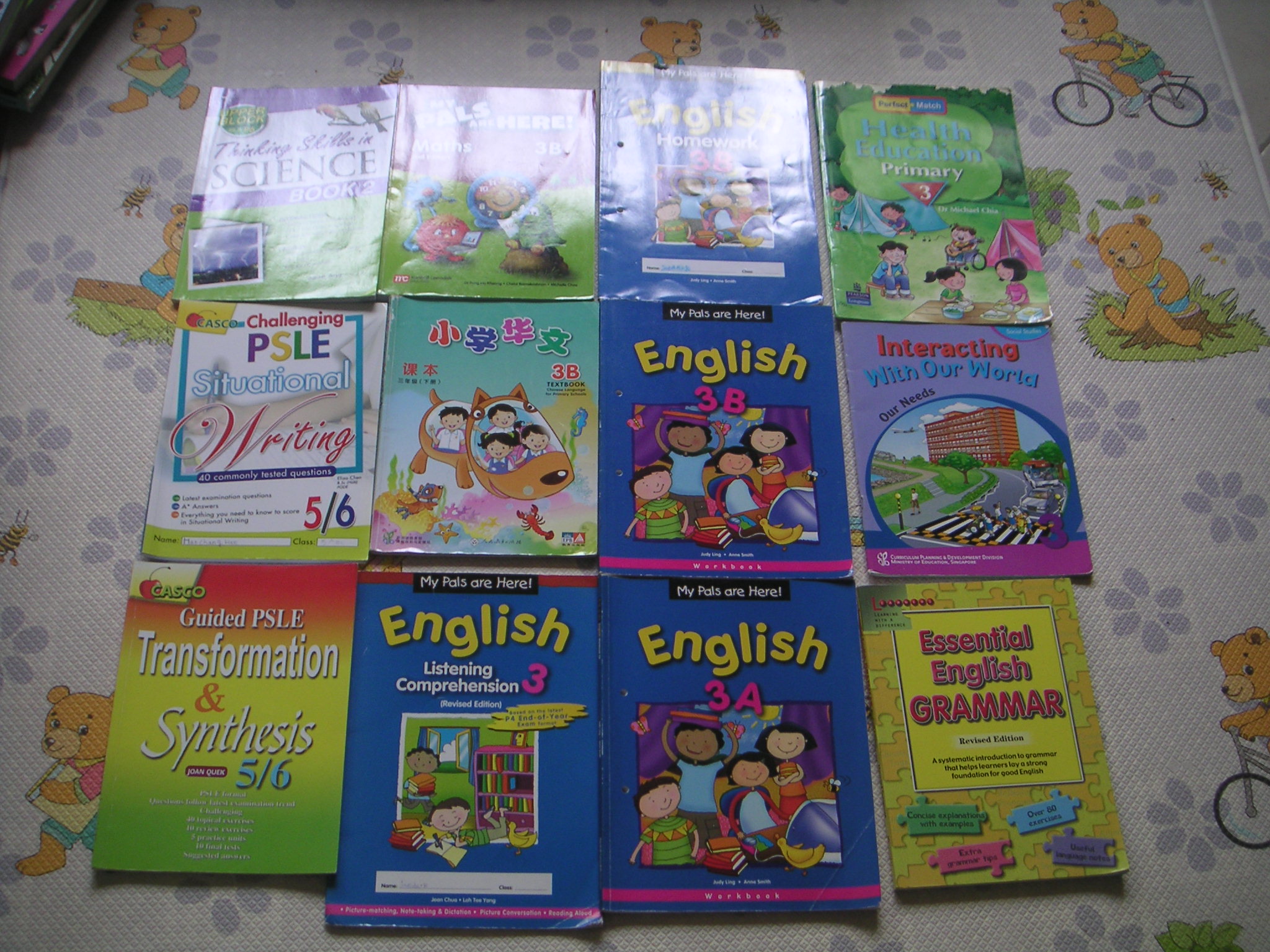 PICT00441.JPG
