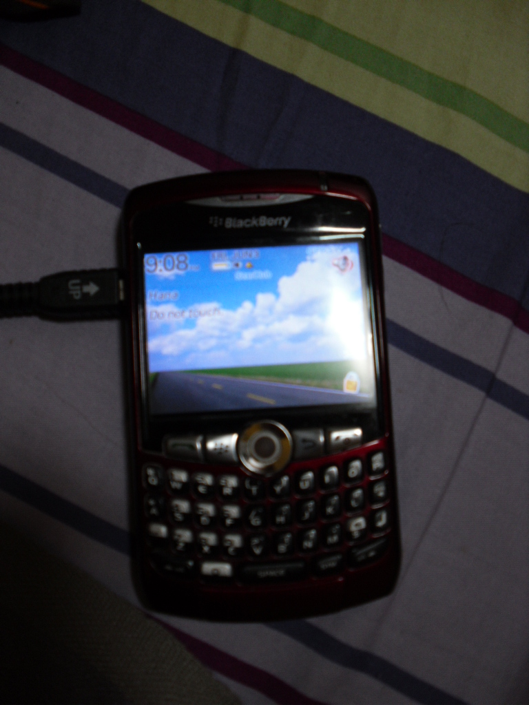 SAM_06141.JPG