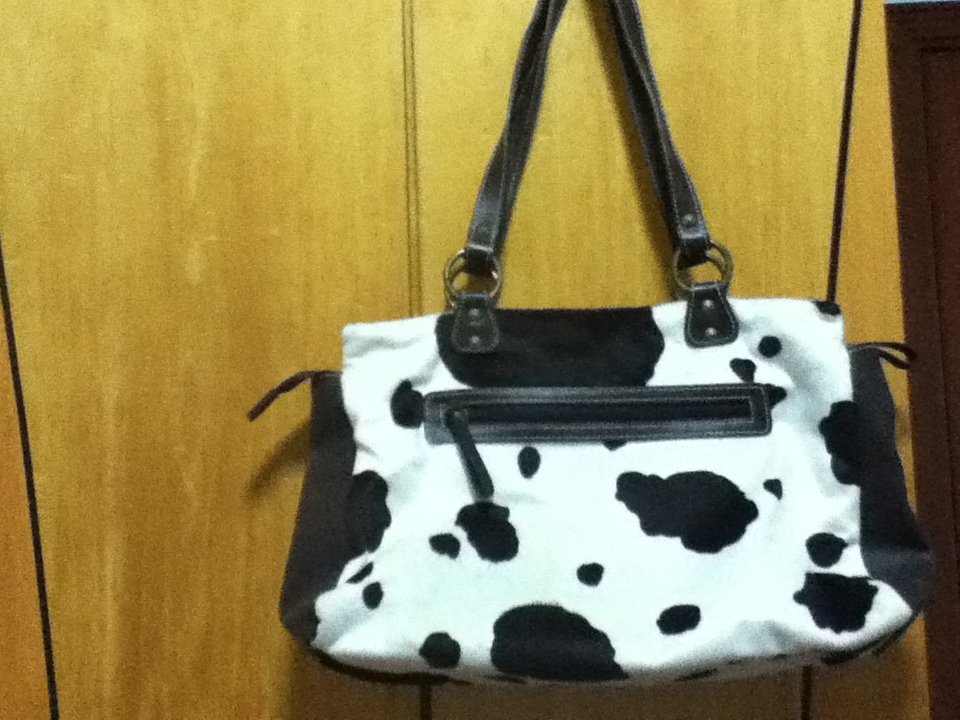 bag_behind1.jpg