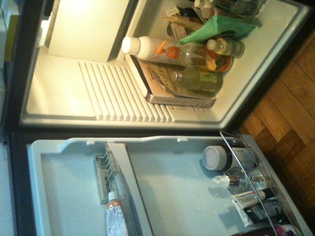 fridge1.JPG