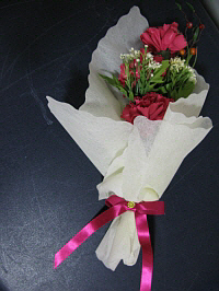job_b_0272001.jpg