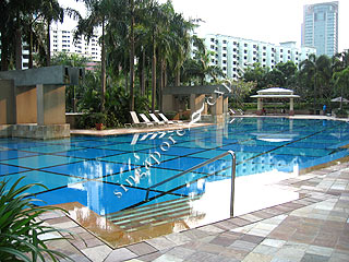 local1_03pool3003.jpg