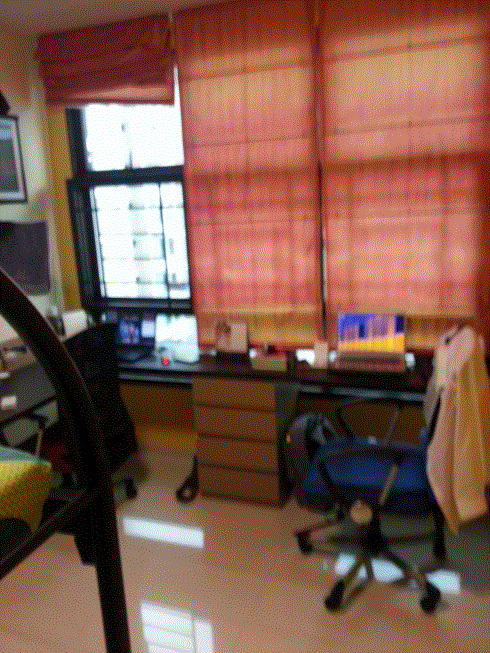 local1_MyPhoto_1087934631_01753001.gif