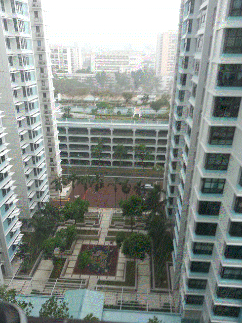 local1_MyPhoto_1087934631_01773001.gif