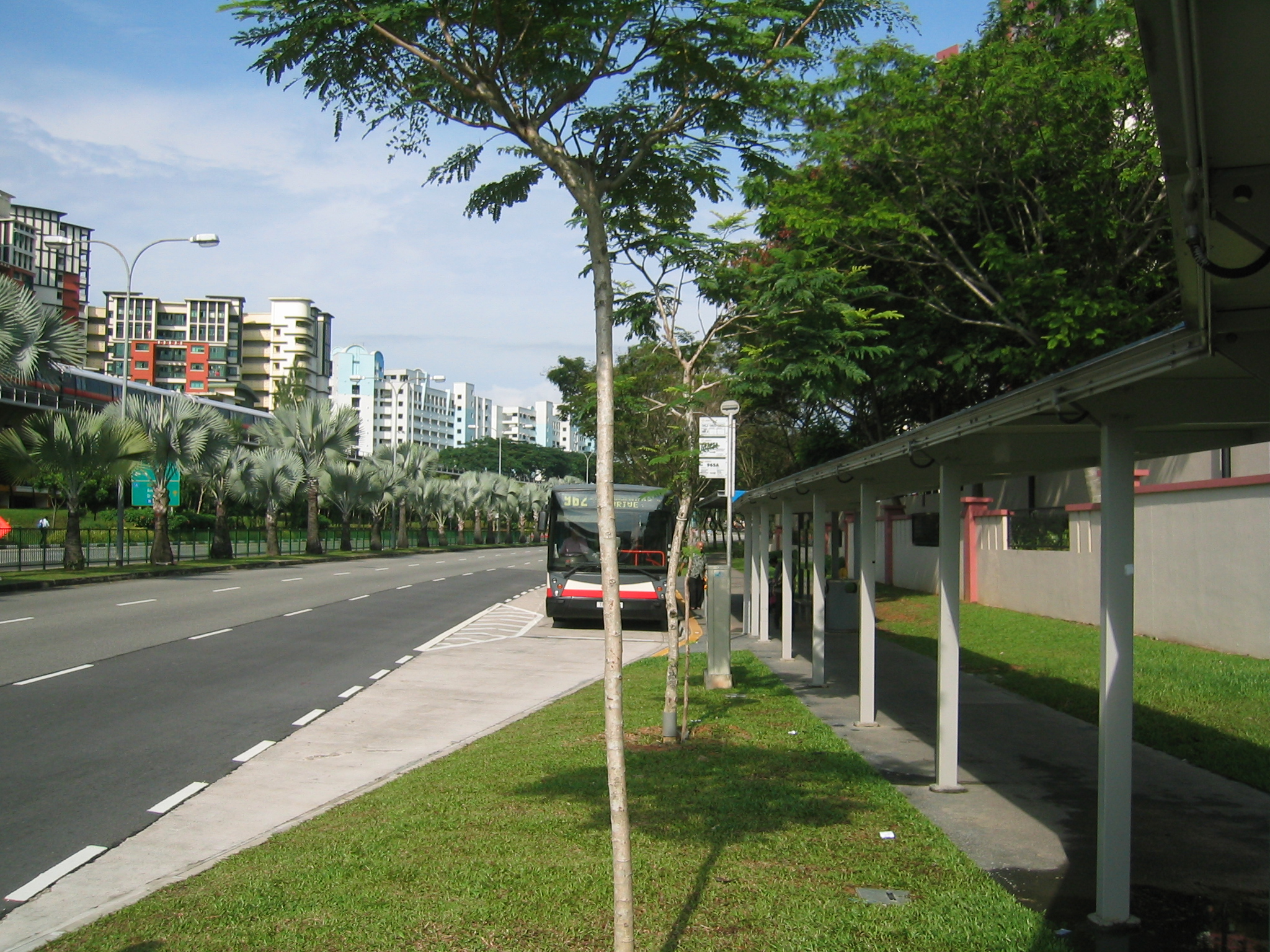 local1_Picture_0213001.jpg