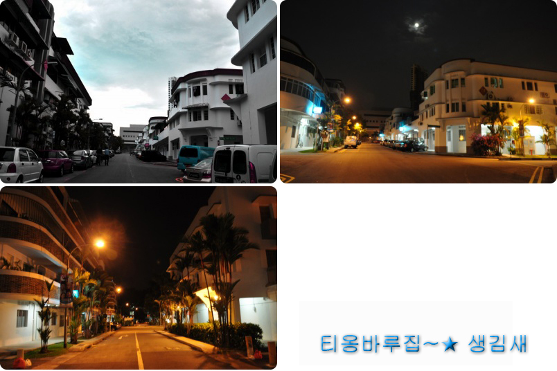 local1_house_tiongbahru3001.jpg