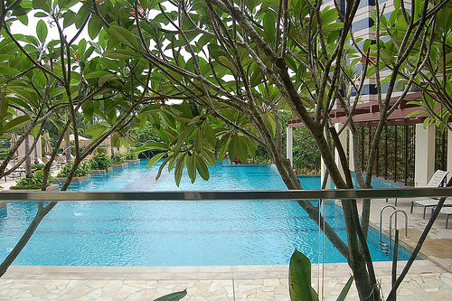 local1_meraprim_pool_view3002.jpg
