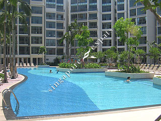 local1_pool3002.jpg