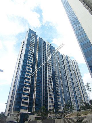 local1_thumbnail13001.jpg