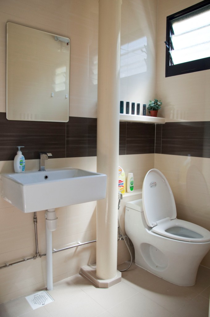 local1_toliet3001.jpg
