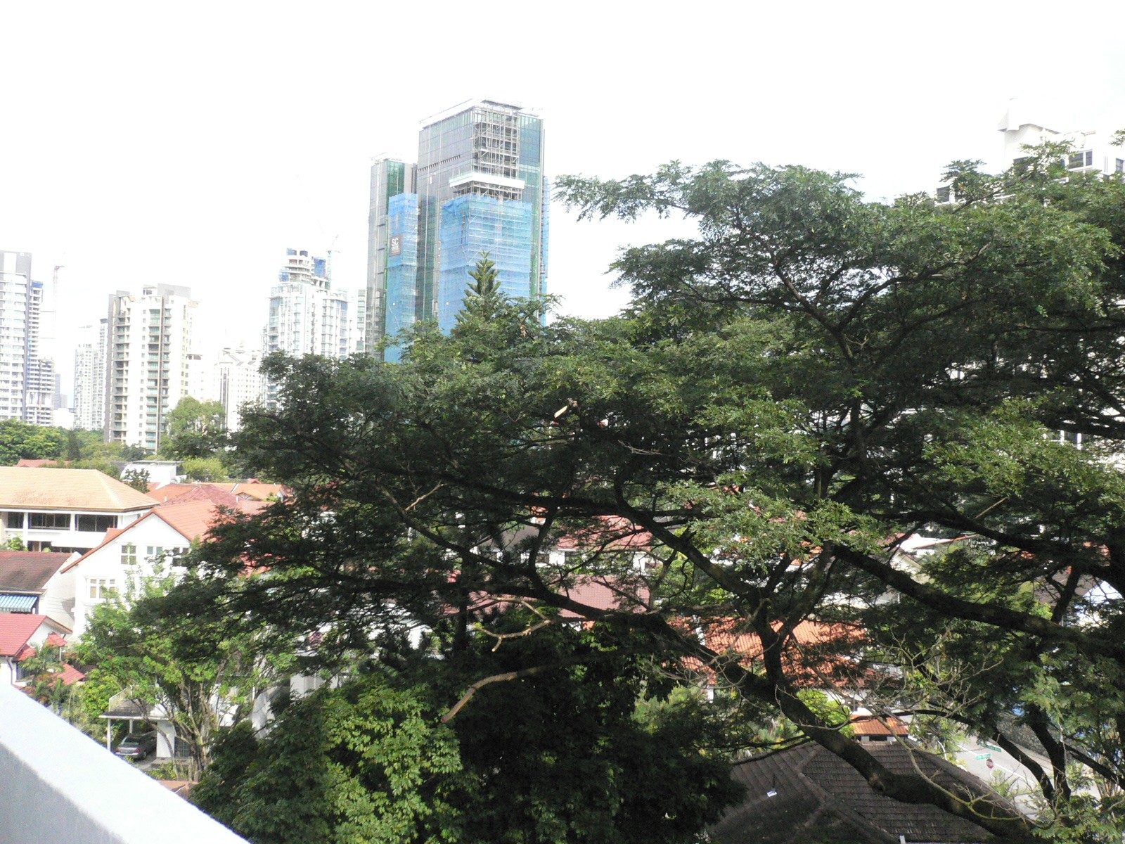 local1_view13003.jpg
