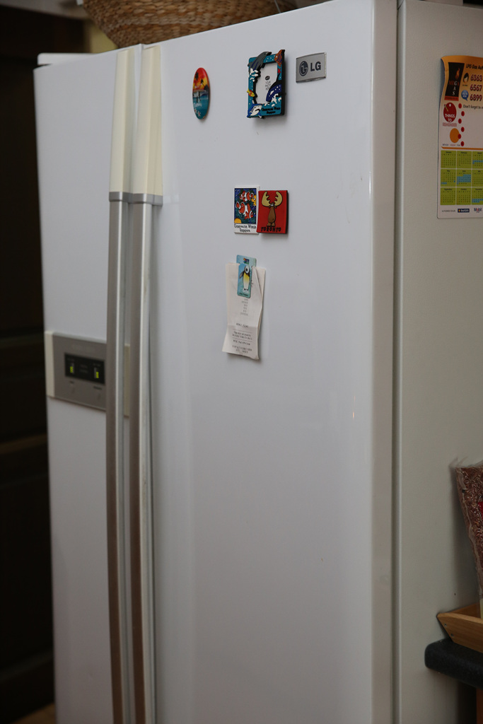 LG Refrigerator photo Fridge_1_zpscf811f4e.jpg