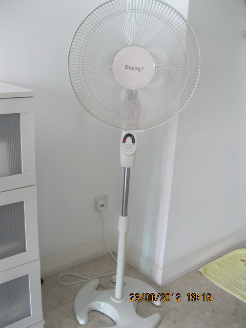 mkt_IMG_09211.JPG