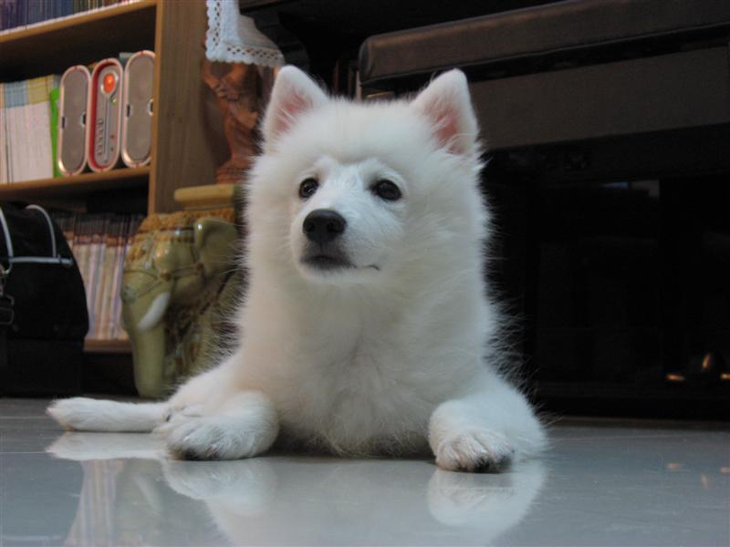mkt_IMG_2790_Medium1.JPG