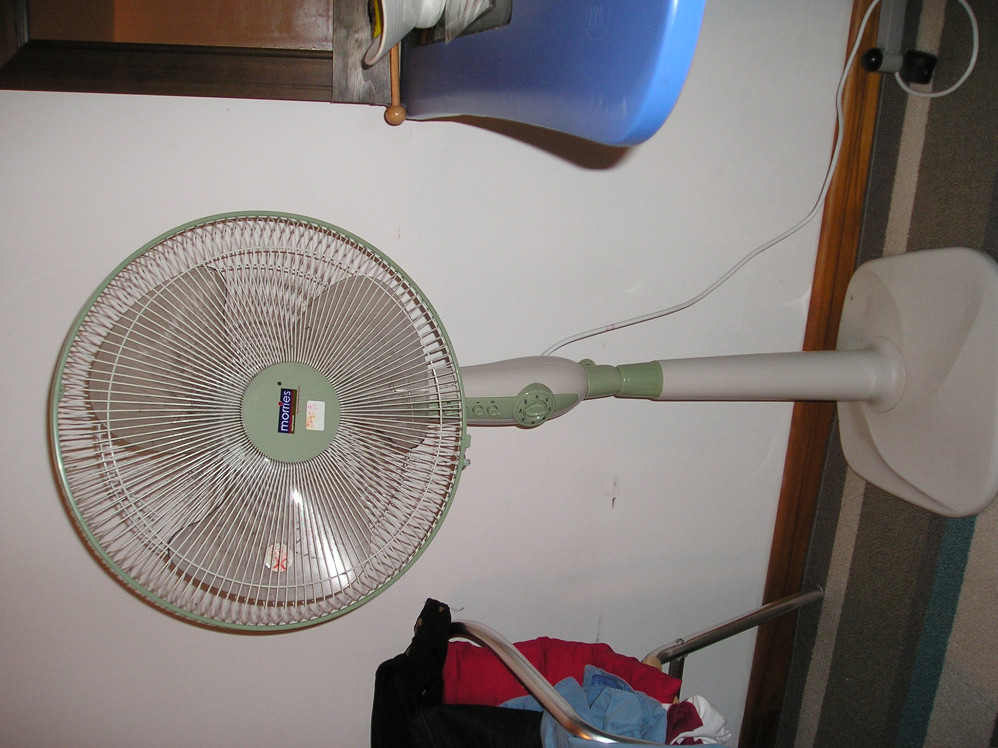 mkt_P10100591.JPG