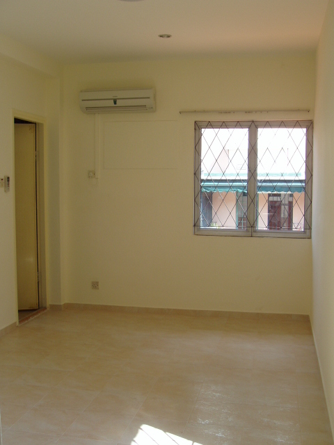 mkt_P31102152.JPG