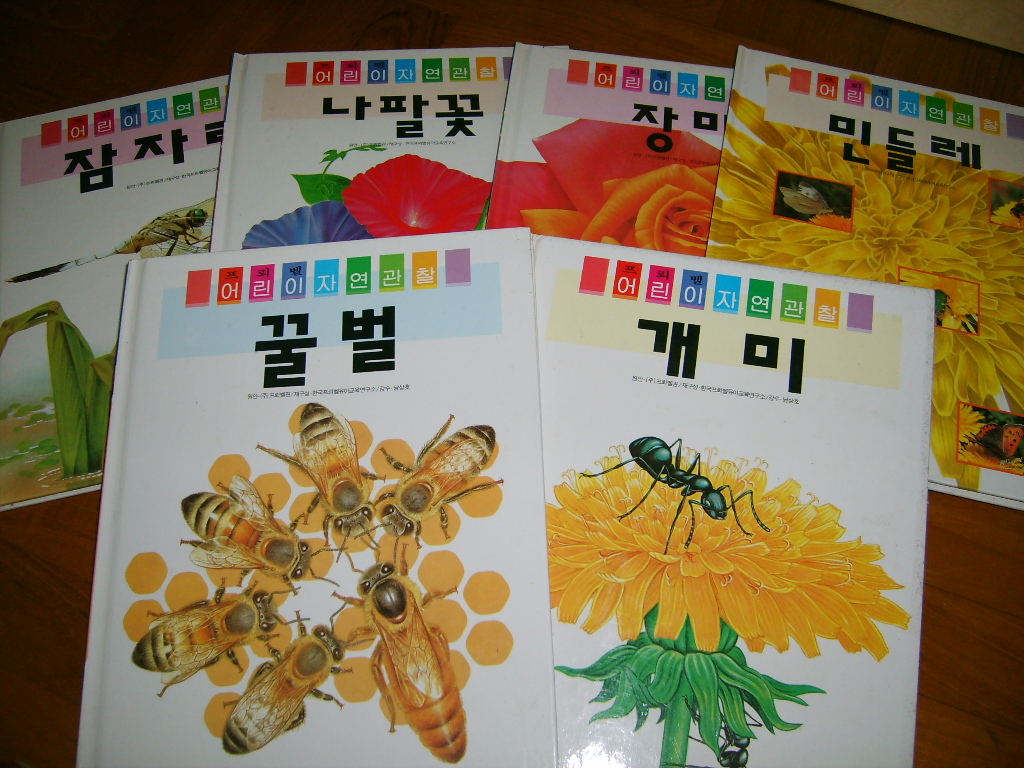 mkt_S50014812001.JPG
