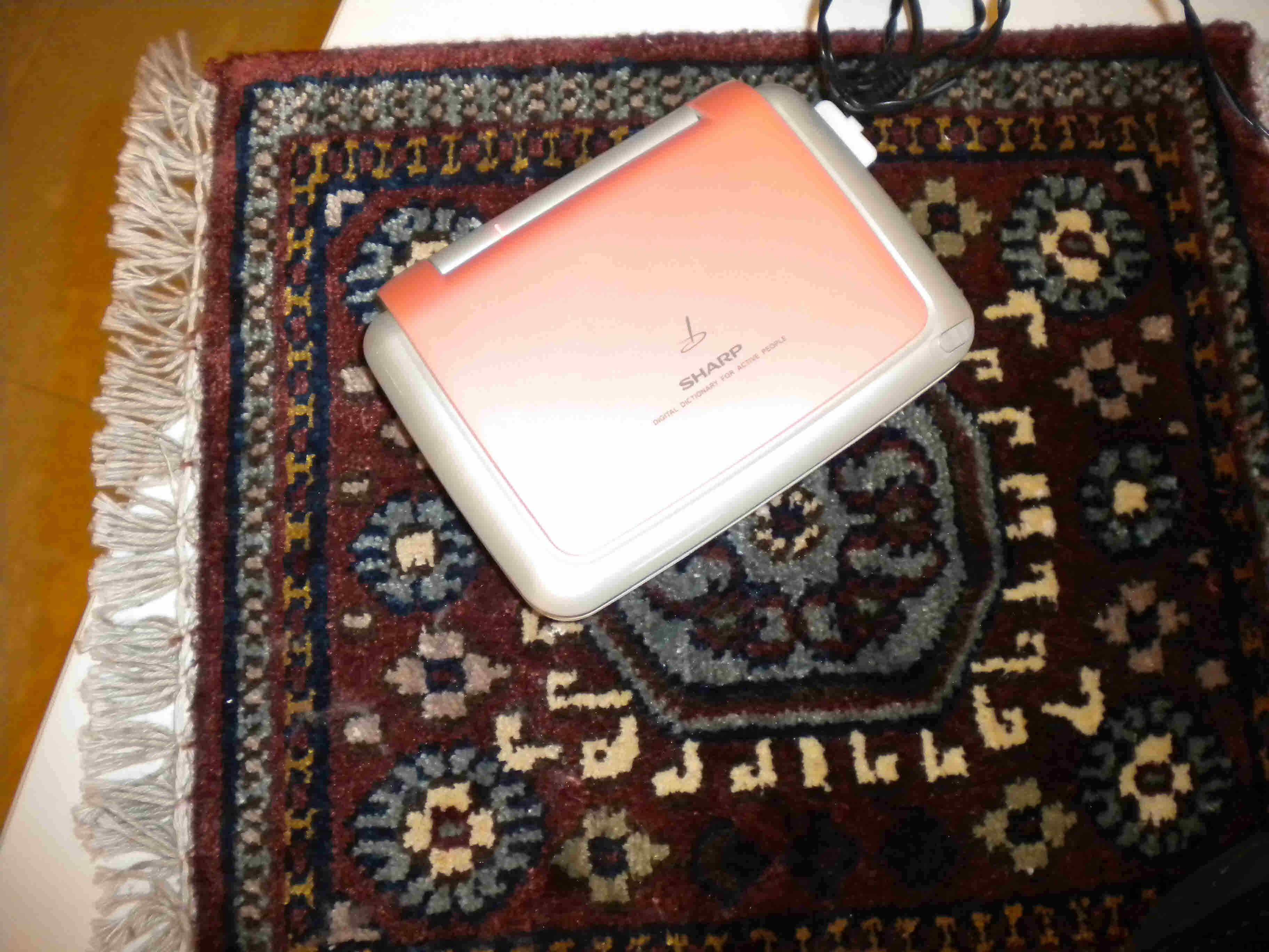 mkt__DSCN32082001.jpg