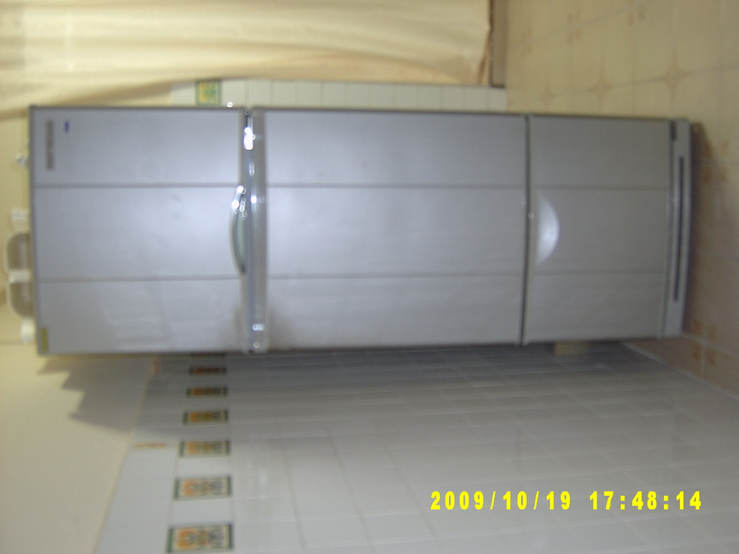 mkt__fridge2001.jpg