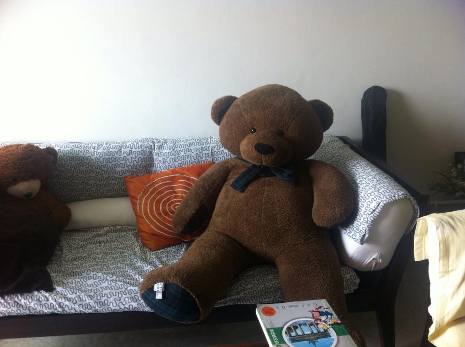 mkt_bearr1001.jpg