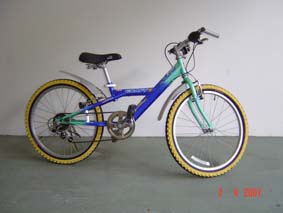 mkt_bicycle3.JPG