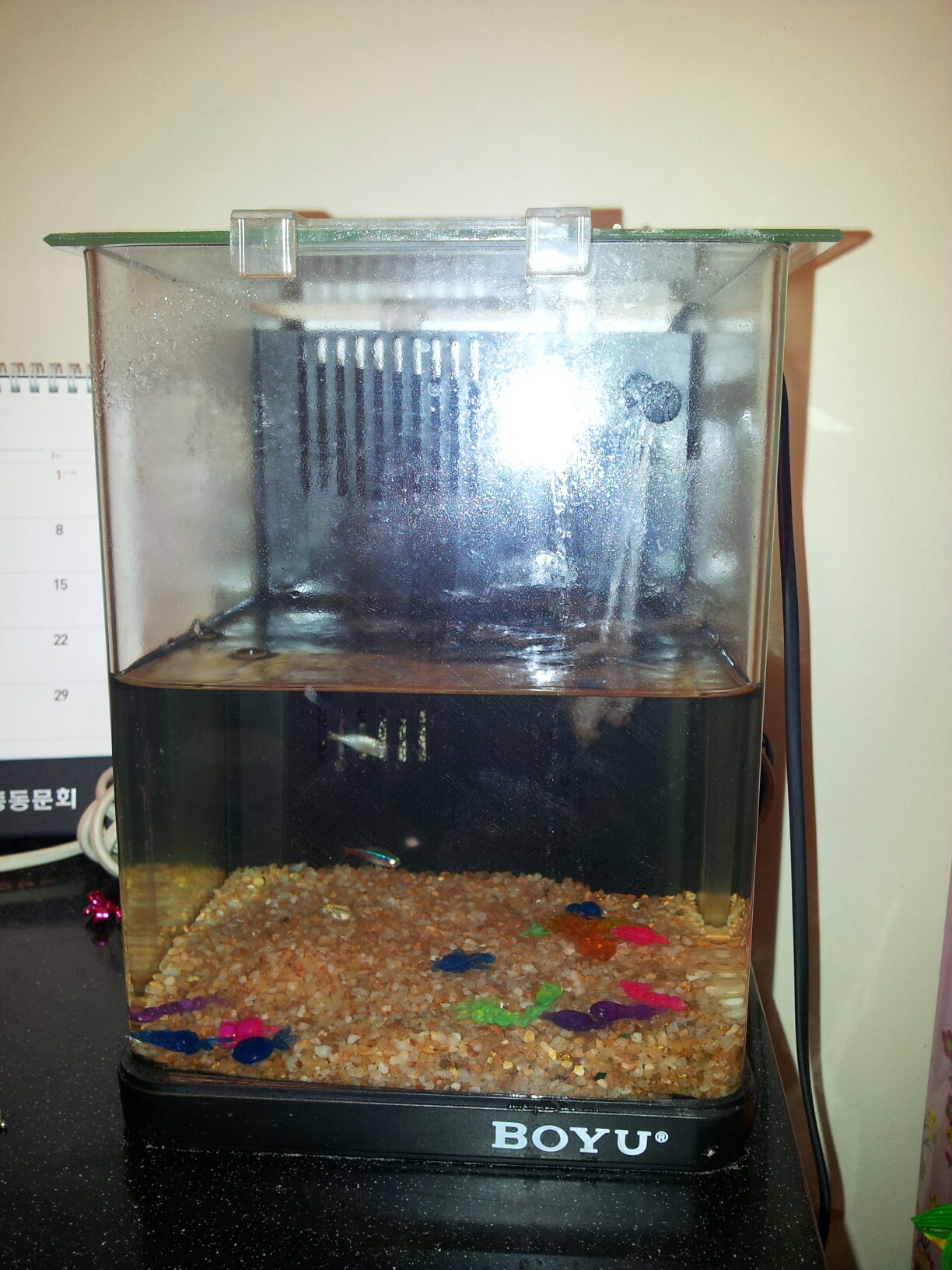 mkt_fish_tank1001.jpg