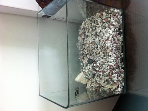 mkt_fishtank1.jpg