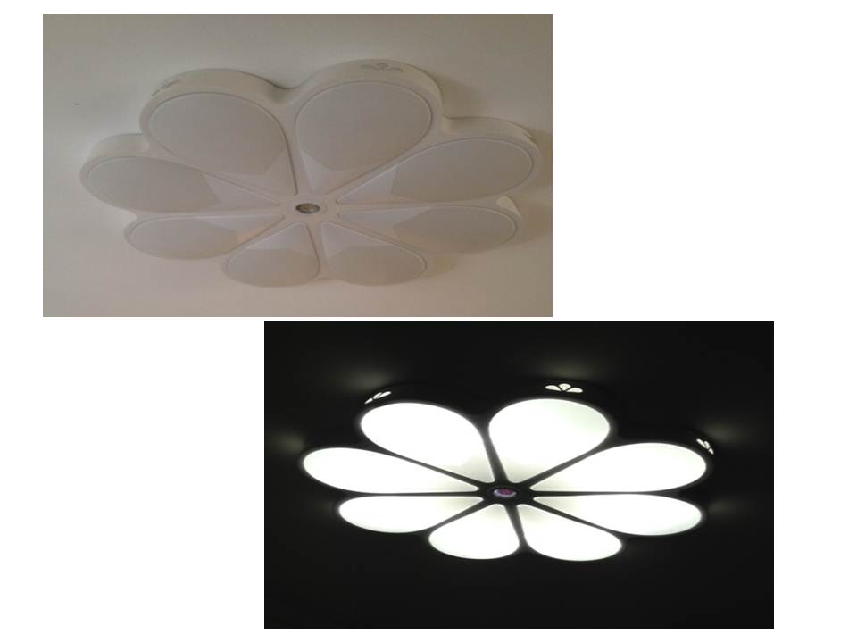 mkt_modern_ceiling_light1.jpg