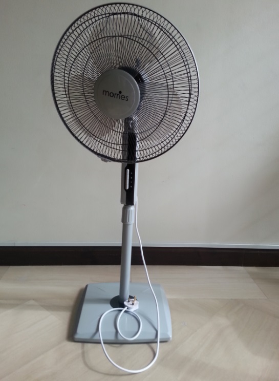 mkt_null1293.jpg