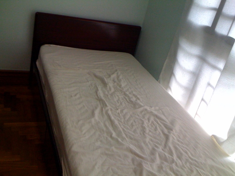 mkt_photo_13002.jpg