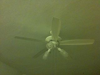 null402.jpg