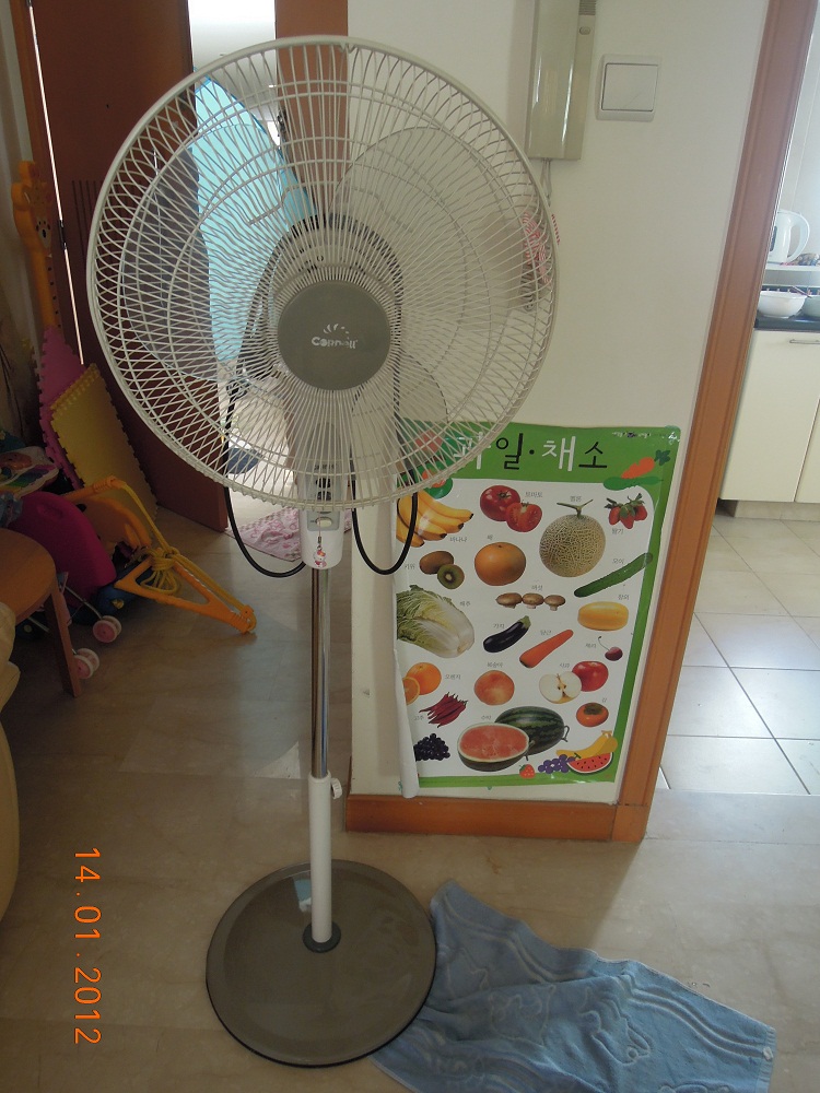 null598.jpg