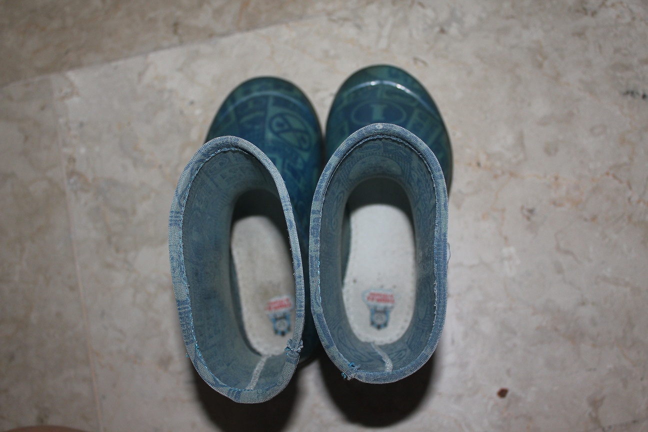 null681.jpg