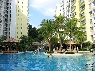 pool1.jpg