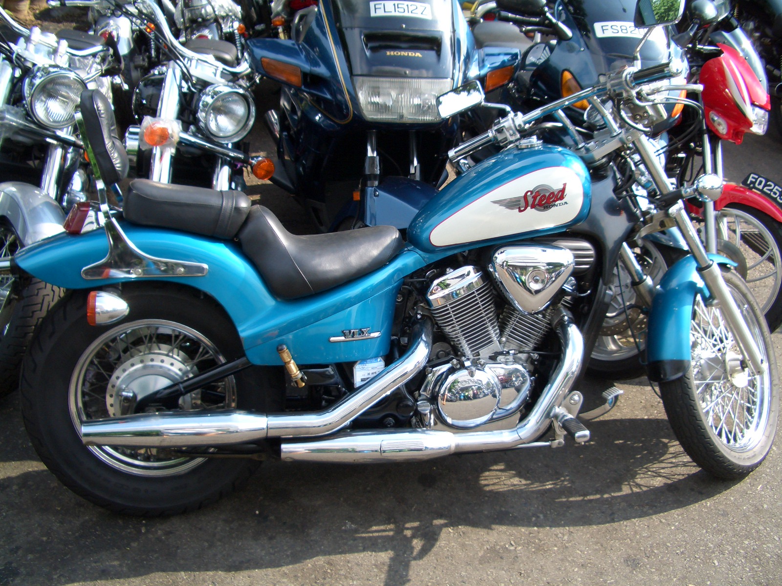 steed_4001.JPG